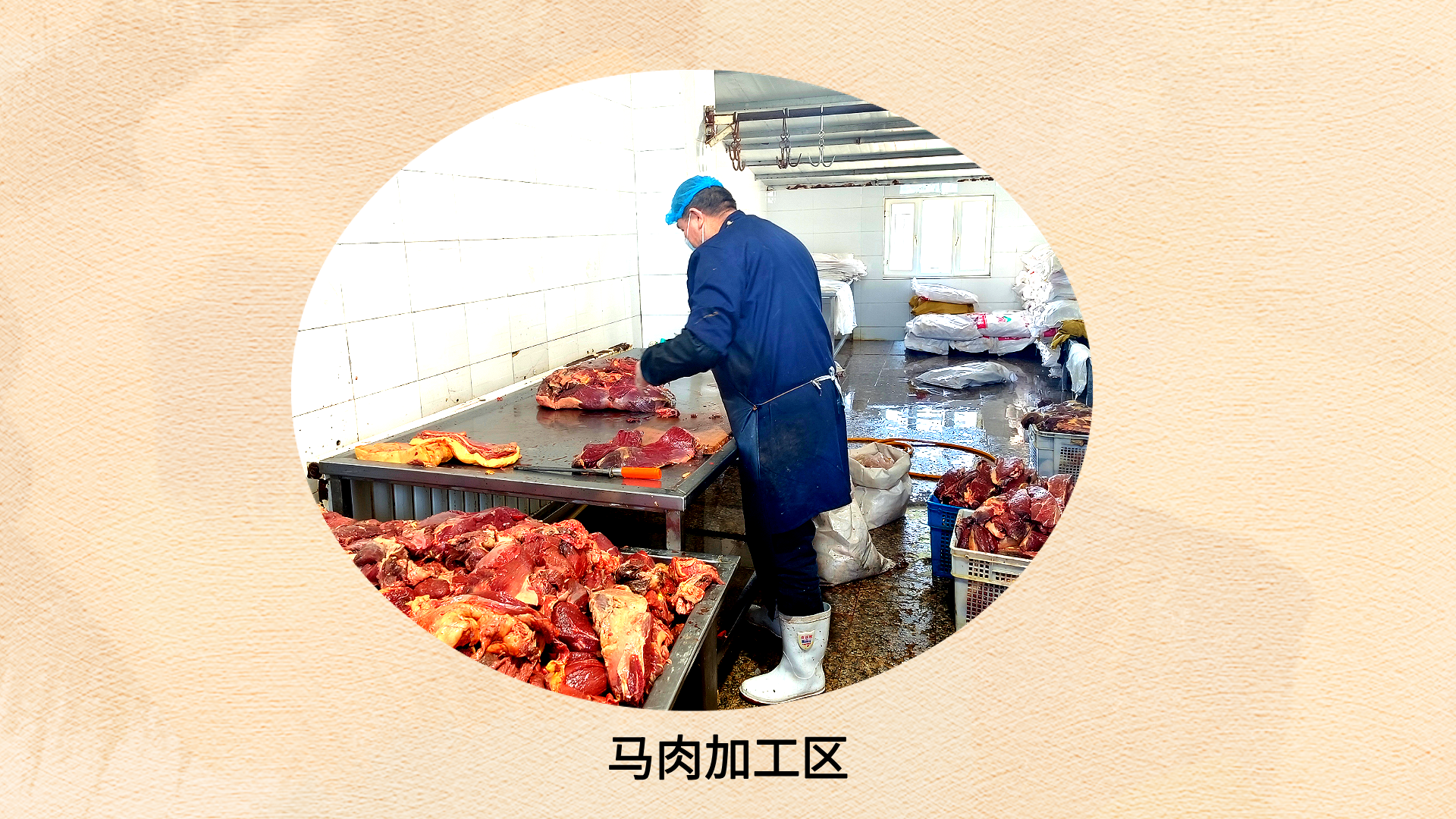 马肉加工区