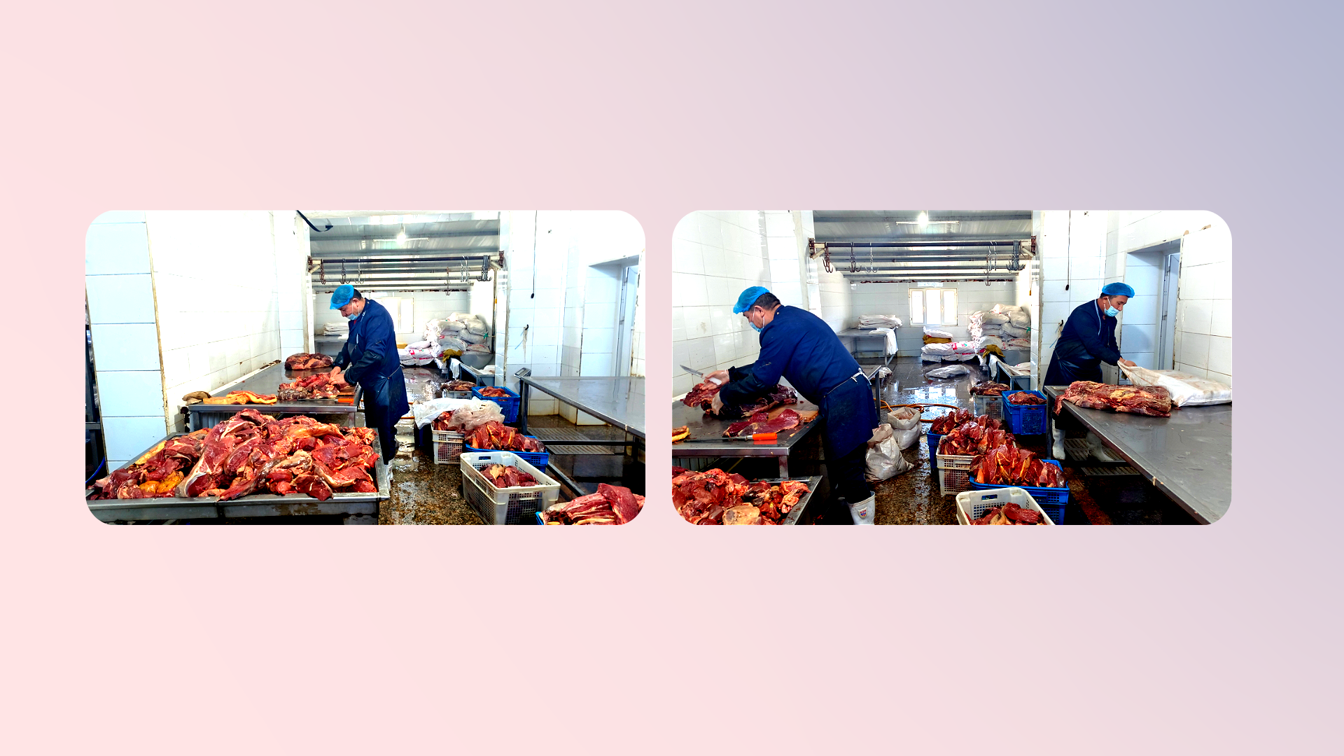 精选马肉切割加工