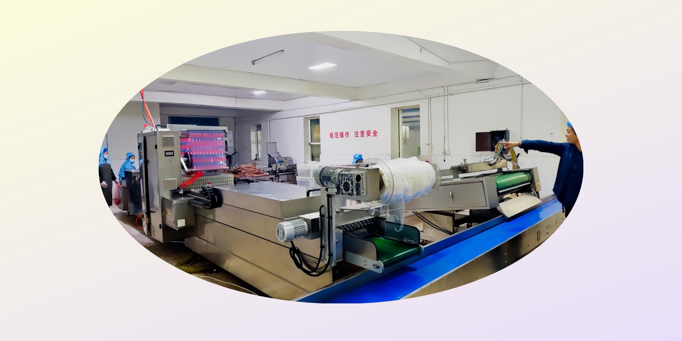 大型熏马肠加工生产设备